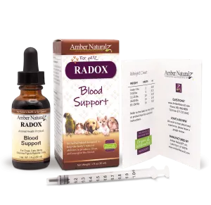 Amber Naturalz RADOX: Blood Support - 1 Ounce