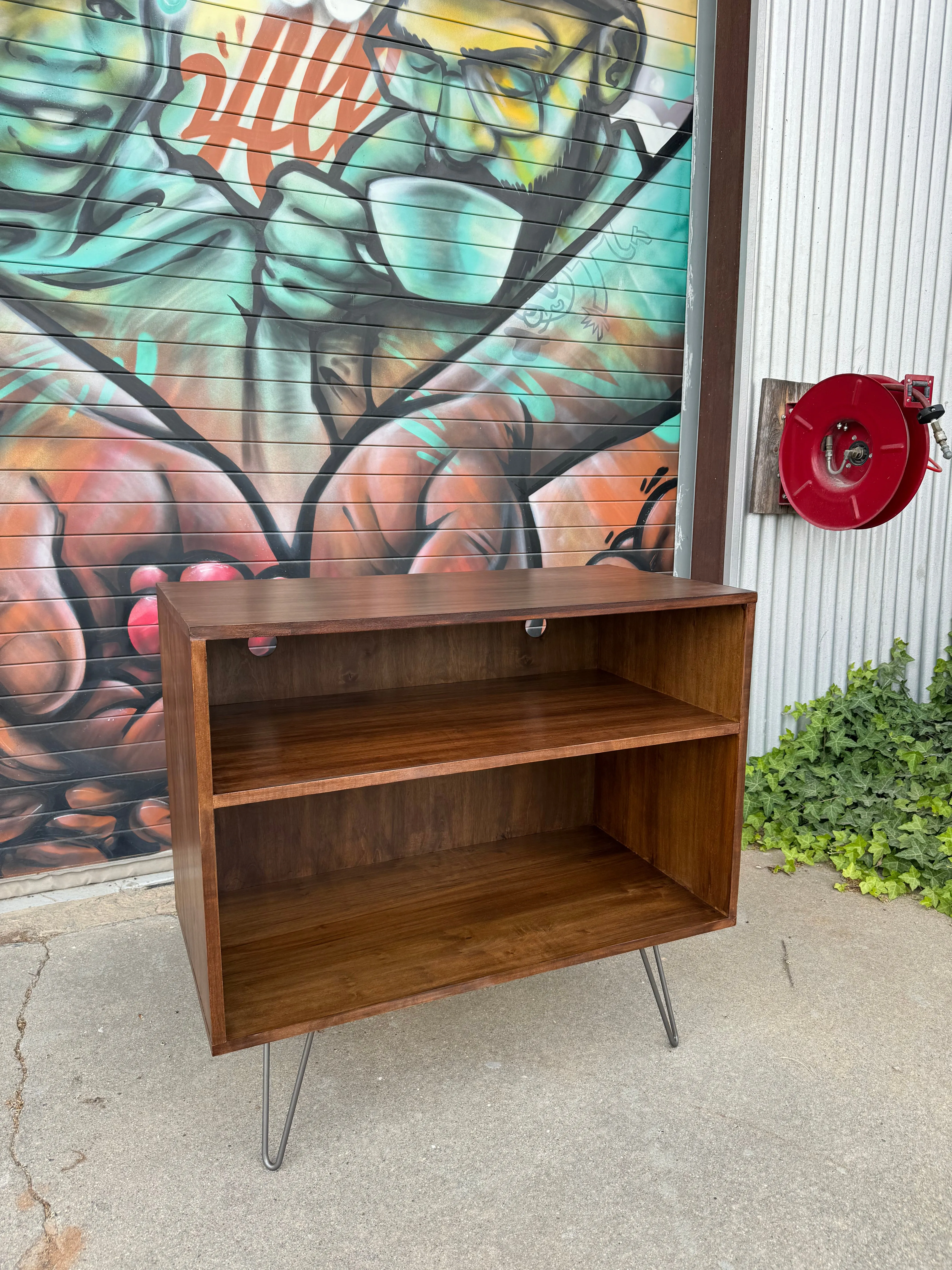 Customizable Record Cabinet - Made to Order