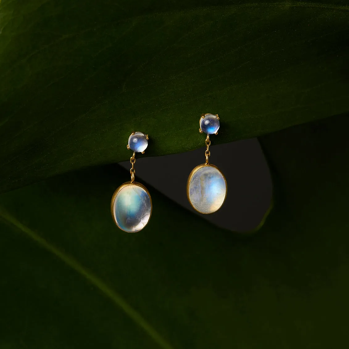 E8601RM | Rainbow Moonstone Glacé Earring