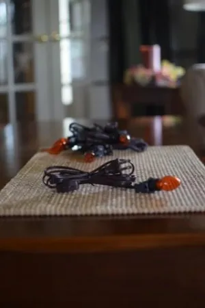 Light Cord with Amber Bulb