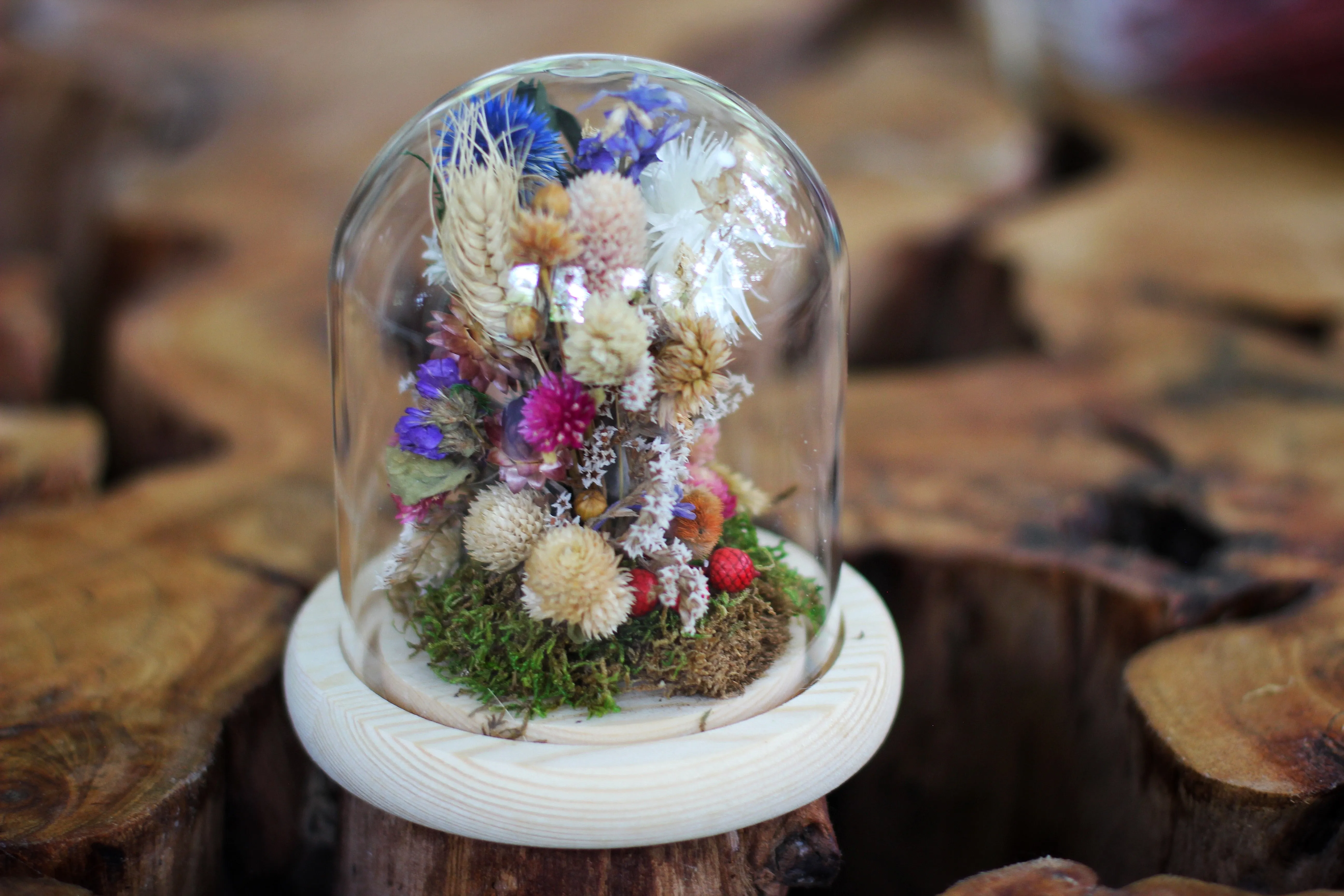 Medium / Small Dried Flowers Glass Dome / Cloche