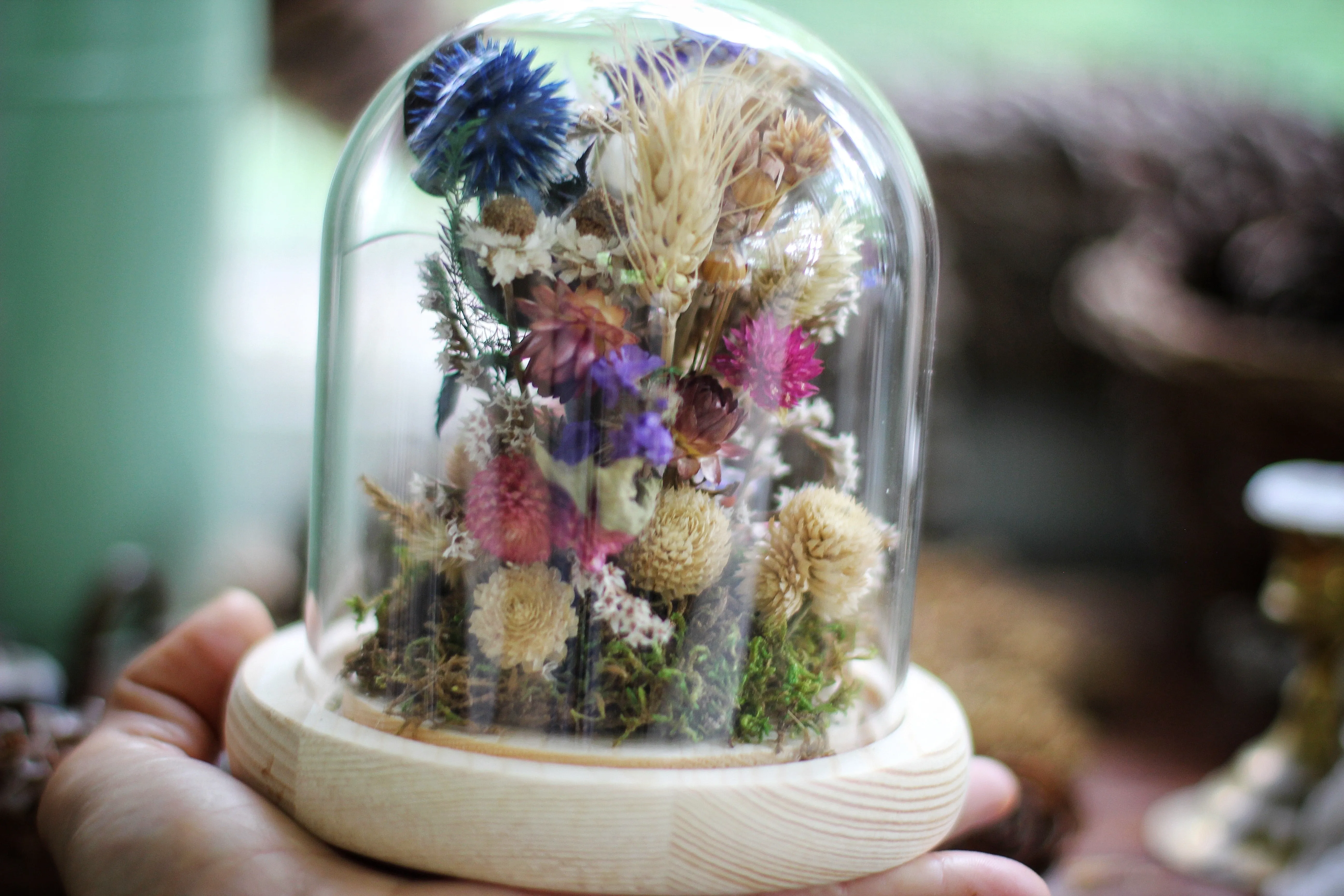 Medium / Small Dried Flowers Glass Dome / Cloche