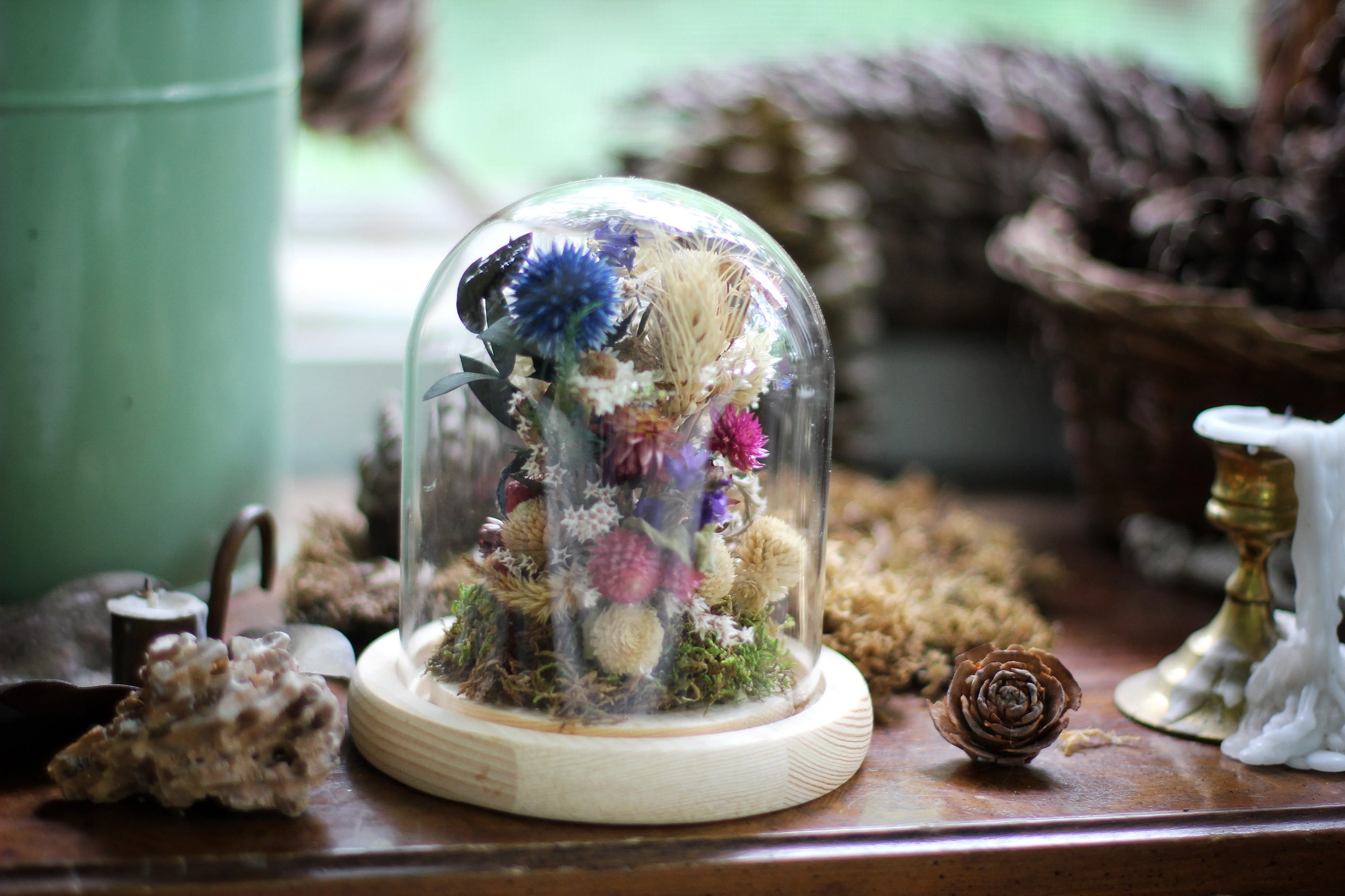 Medium / Small Dried Flowers Glass Dome / Cloche