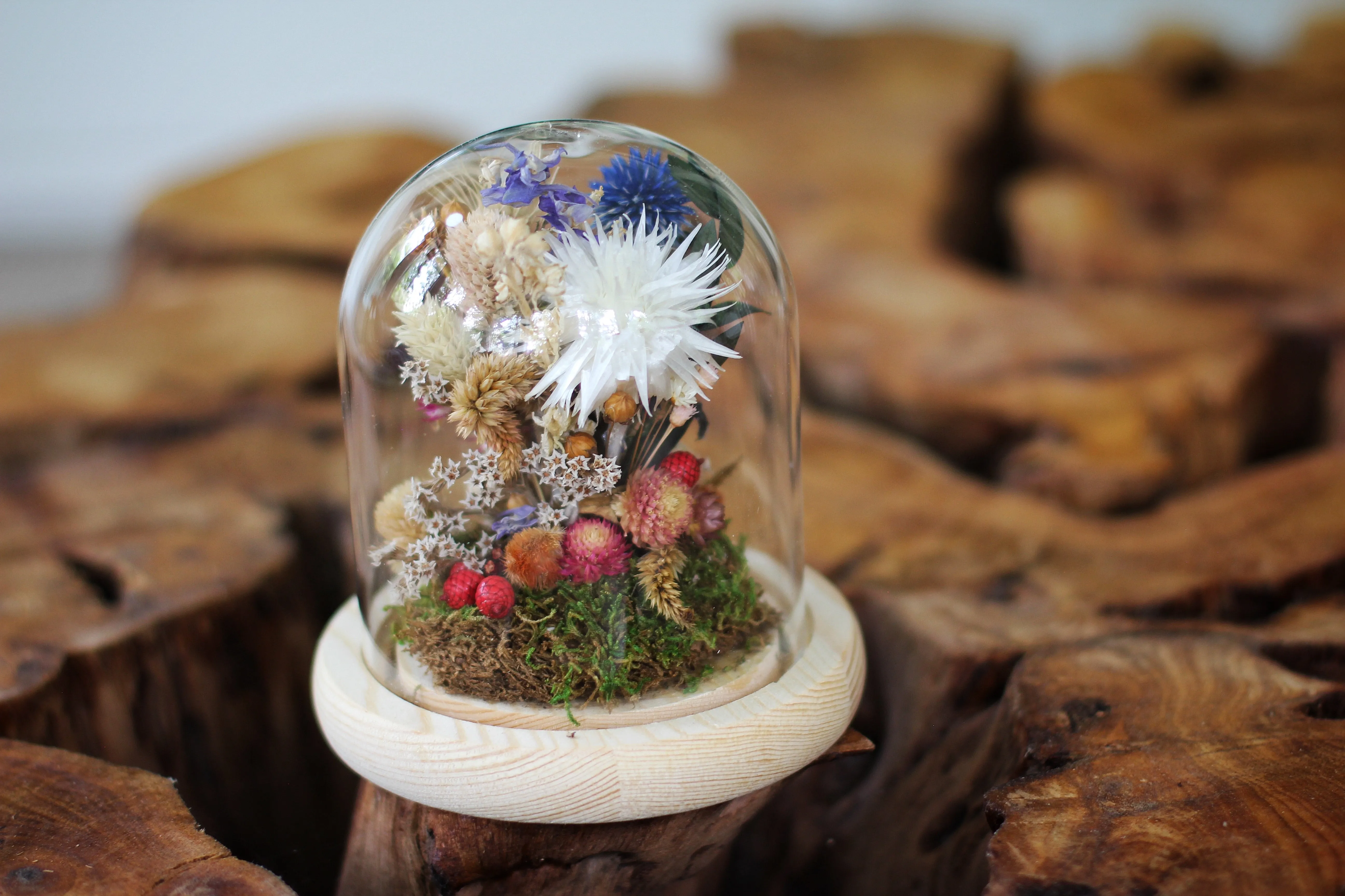 Medium / Small Dried Flowers Glass Dome / Cloche