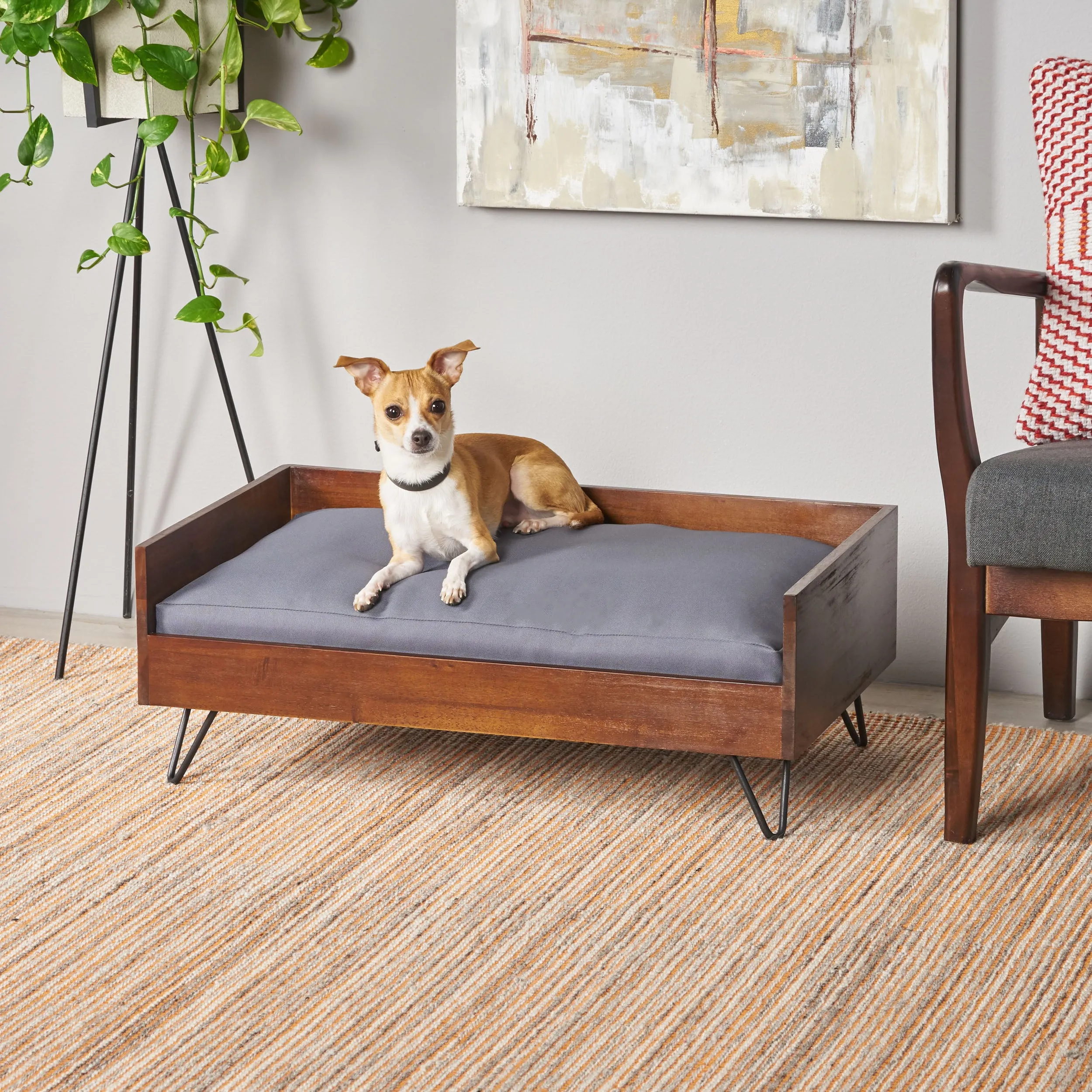 Ophelia Mid-Century Modern Cushioned Wood Frame Dog Bed