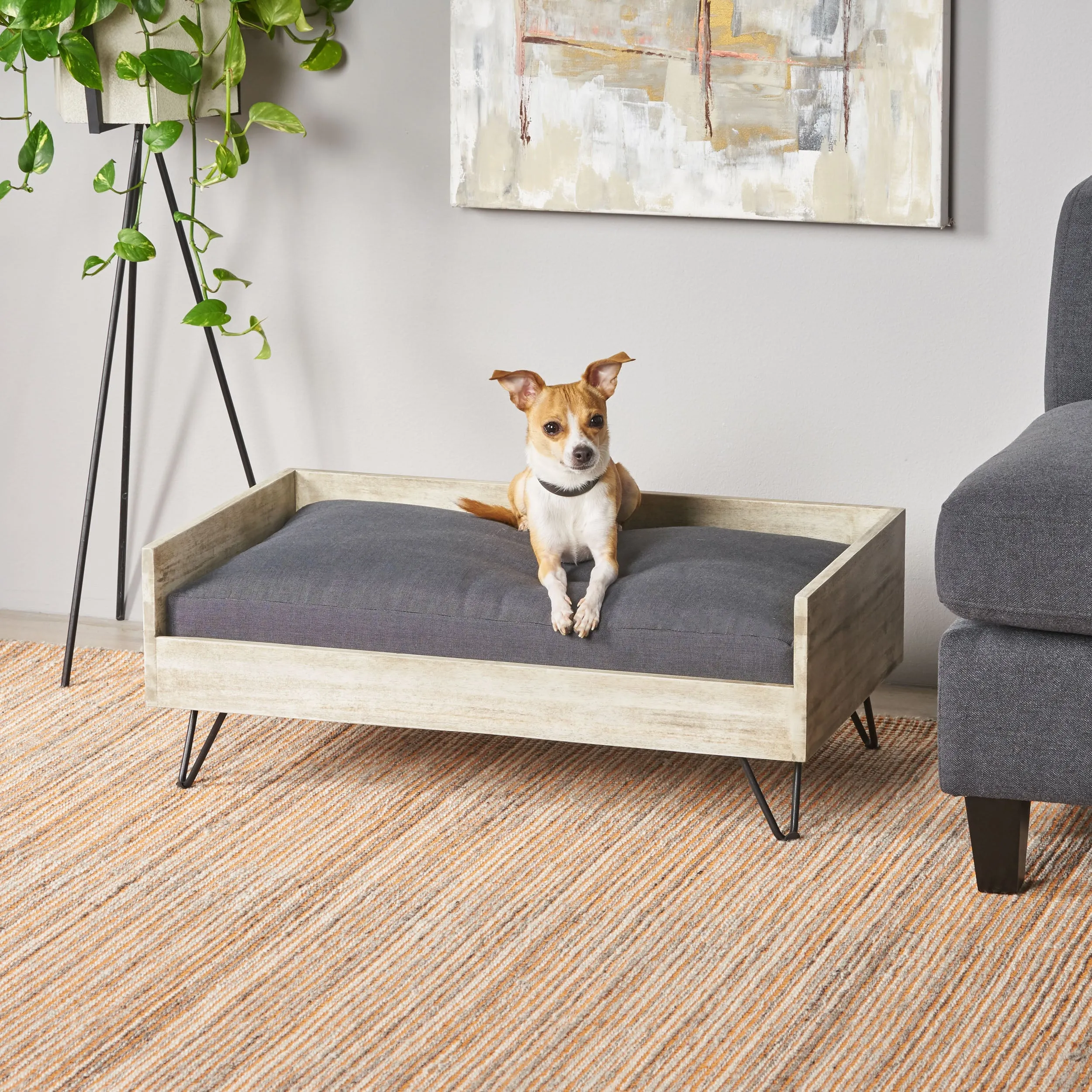 Ophelia Mid-Century Modern Cushioned Wood Frame Dog Bed