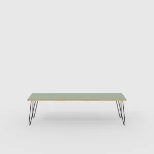 Plywood Bench Seat with Black Hairpin Legs - Formica Green Slate - 1600(w) x 400(d)